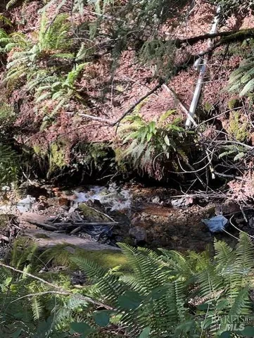 a view of a wooden door