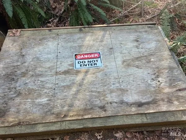 a view of a yard with plants and trees