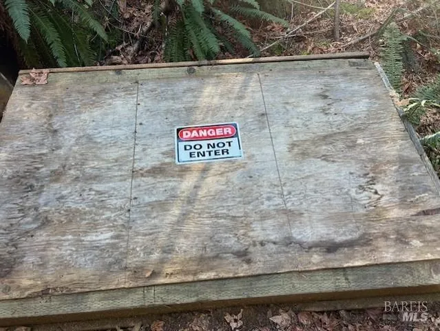 a view of a yard with plants and trees