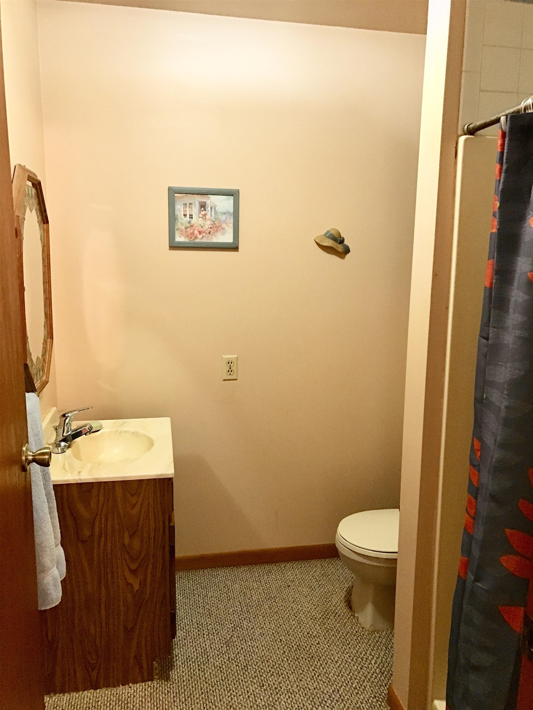 1989 South Crapo Road Ithaca, MI 48847 - Photo 15 of 64