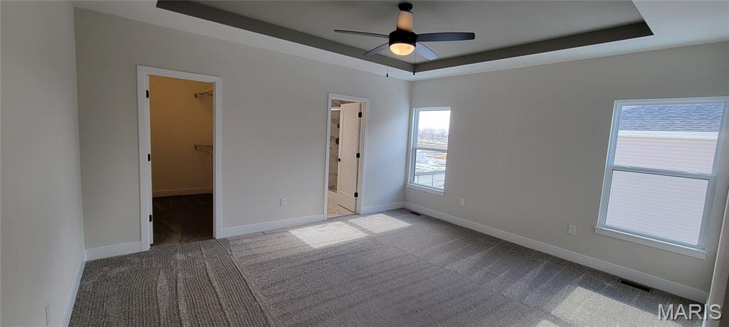 1438 Montauk Road Troy, IL 62294 - Photo 32 of 96