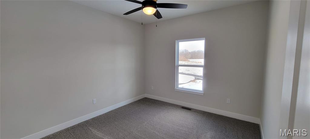 1438 Montauk Road Troy, IL 62294 - Photo 42 of 96