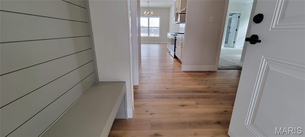 1438 Montauk Road Troy, IL 62294 - Photo 44 of 96