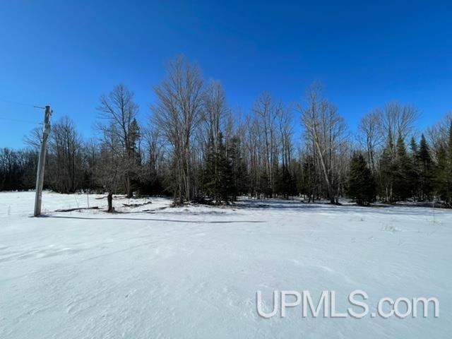 5086 1st Crossing Road Florence, WI 54121 - Photo 45 of 61