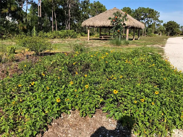 a view of a yard with plants and trees