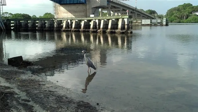 $62,000 | 35 Pine Valley Court, Rotonda West, FL 33947