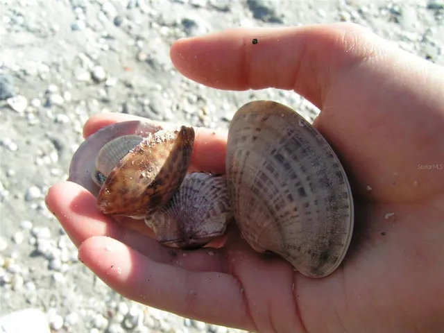 $62,000 | 35 Pine Valley Court, Rotonda West, FL 33947