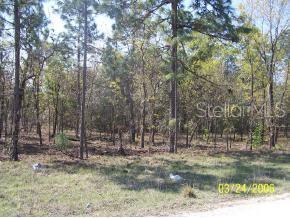 0 Southwest 47th Place Road Ocala, FL 34481 - Photo 1 of 1 Primary Photo