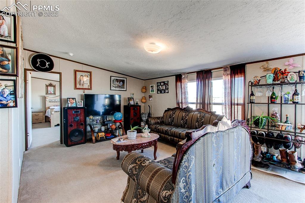 5955 Mulberry Road Calhan, CO 80808 - Photo 11 of 25 a living room with furniture and a flat screen tv