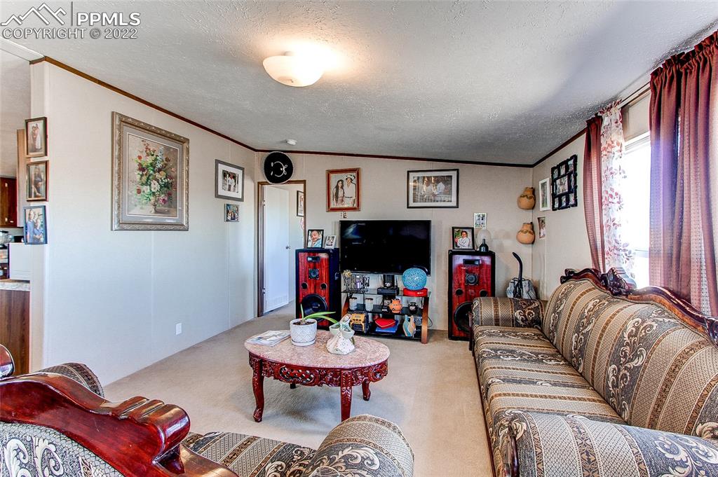 5955 Mulberry Road Calhan, CO 80808 - Photo 12 of 25 a living room with furniture and a flat screen tv