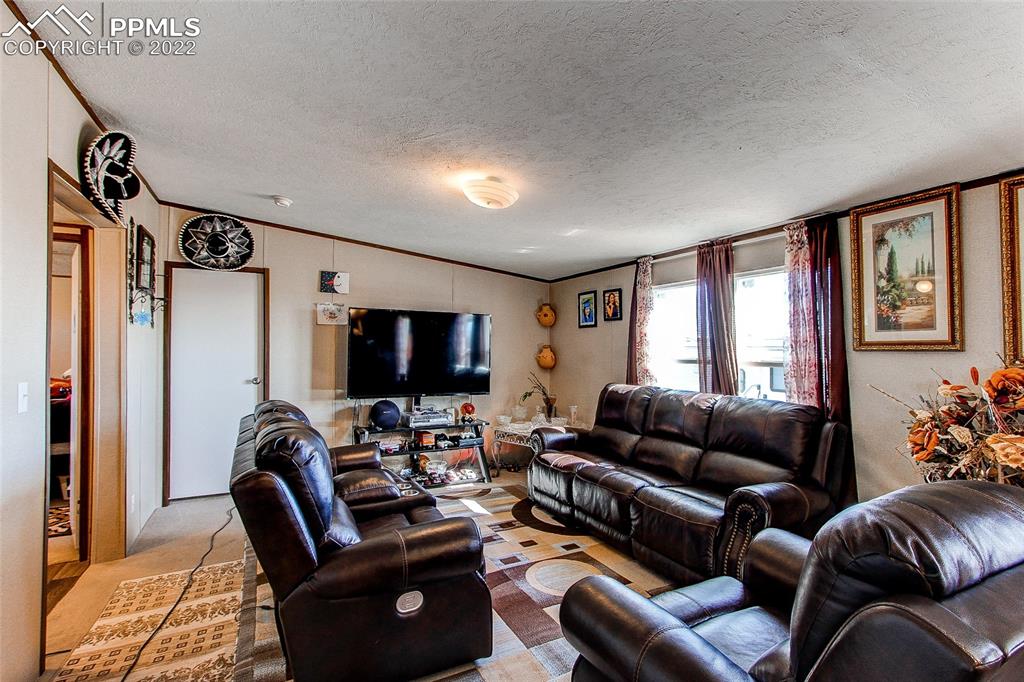 5955 Mulberry Road Calhan, CO 80808 - Photo 9 of 25 a living room with furniture and a flat screen tv