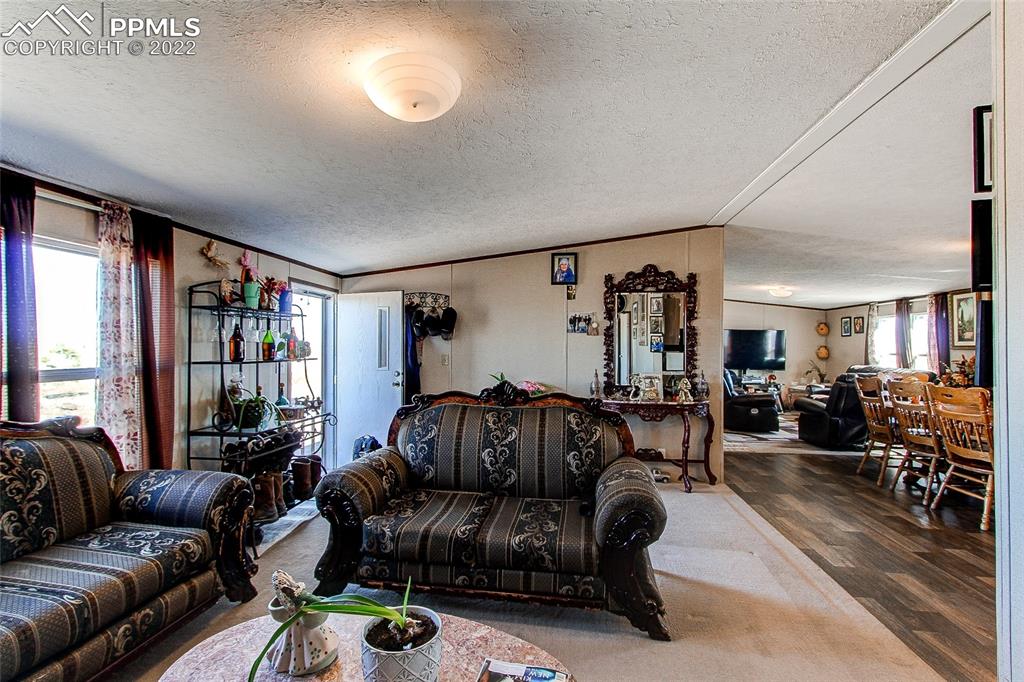 5955 Mulberry Road Calhan, CO 80808 - Photo 10 of 25 a living room with furniture ceiling fan and a window