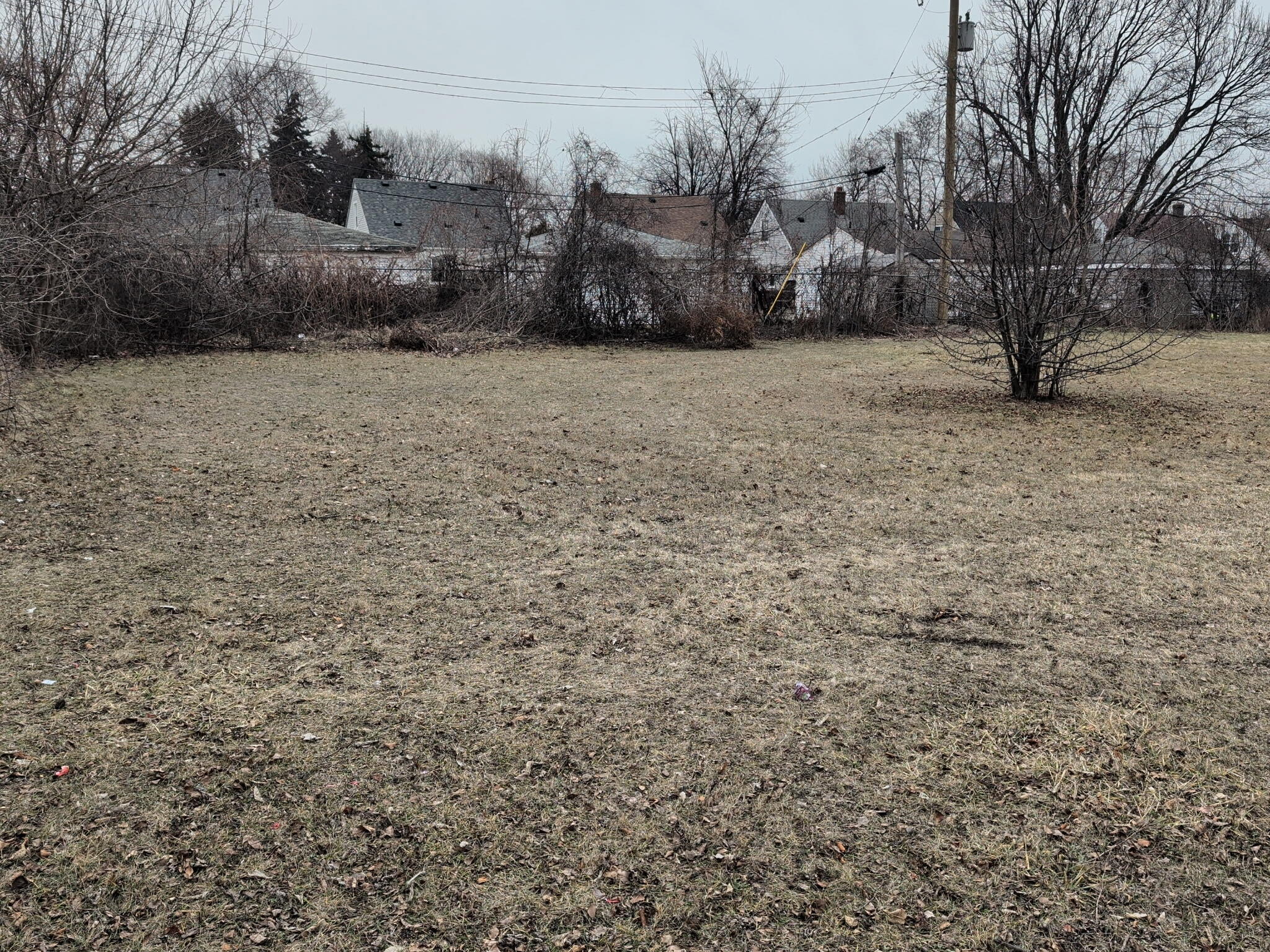 20296 Rowe Street Detroit, MI 48205 - Photo 3 of 5 614191534406249304