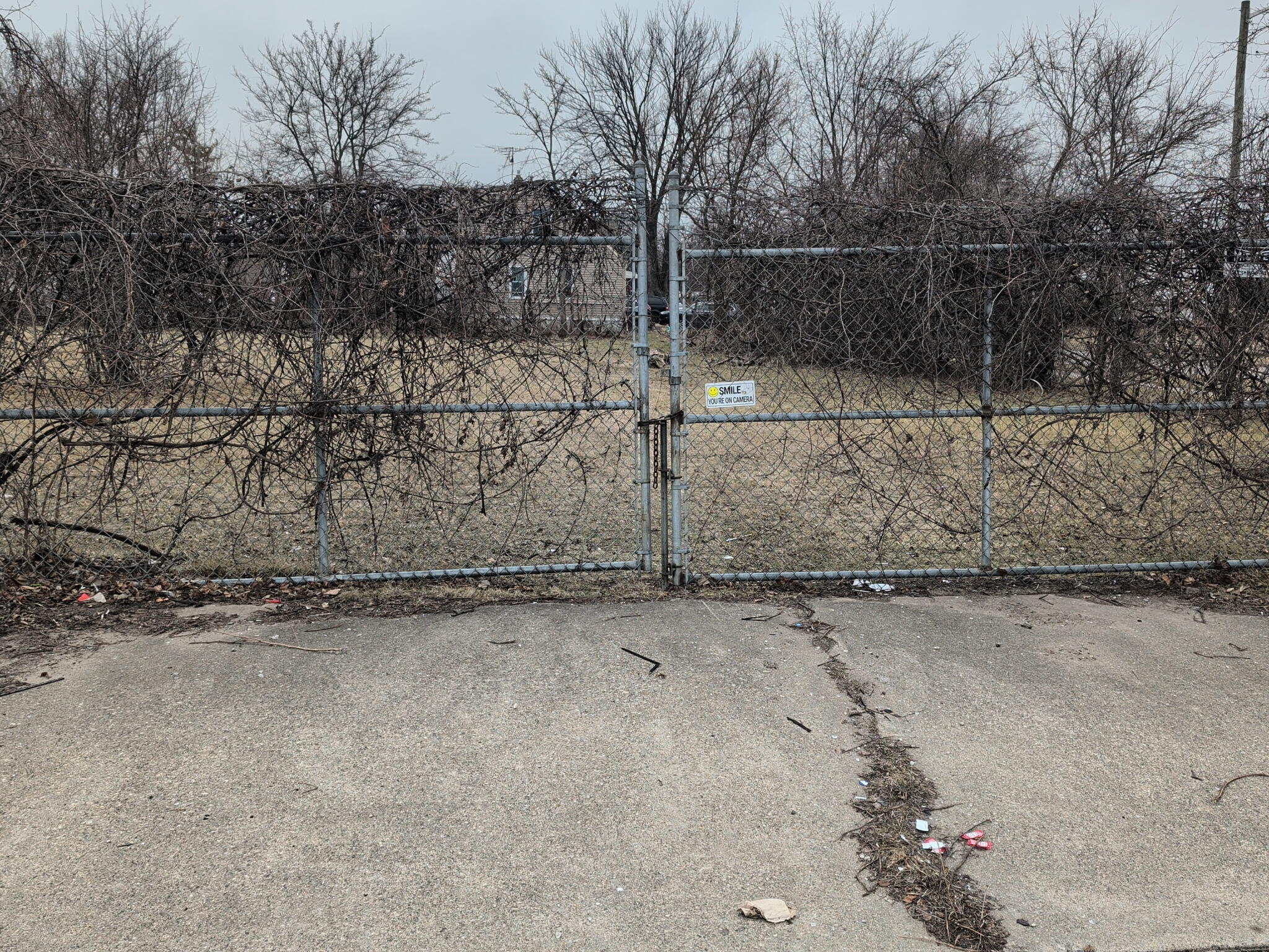 20296 Rowe Street Detroit, MI 48205 - Photo 4 of 5 1351957453552413893