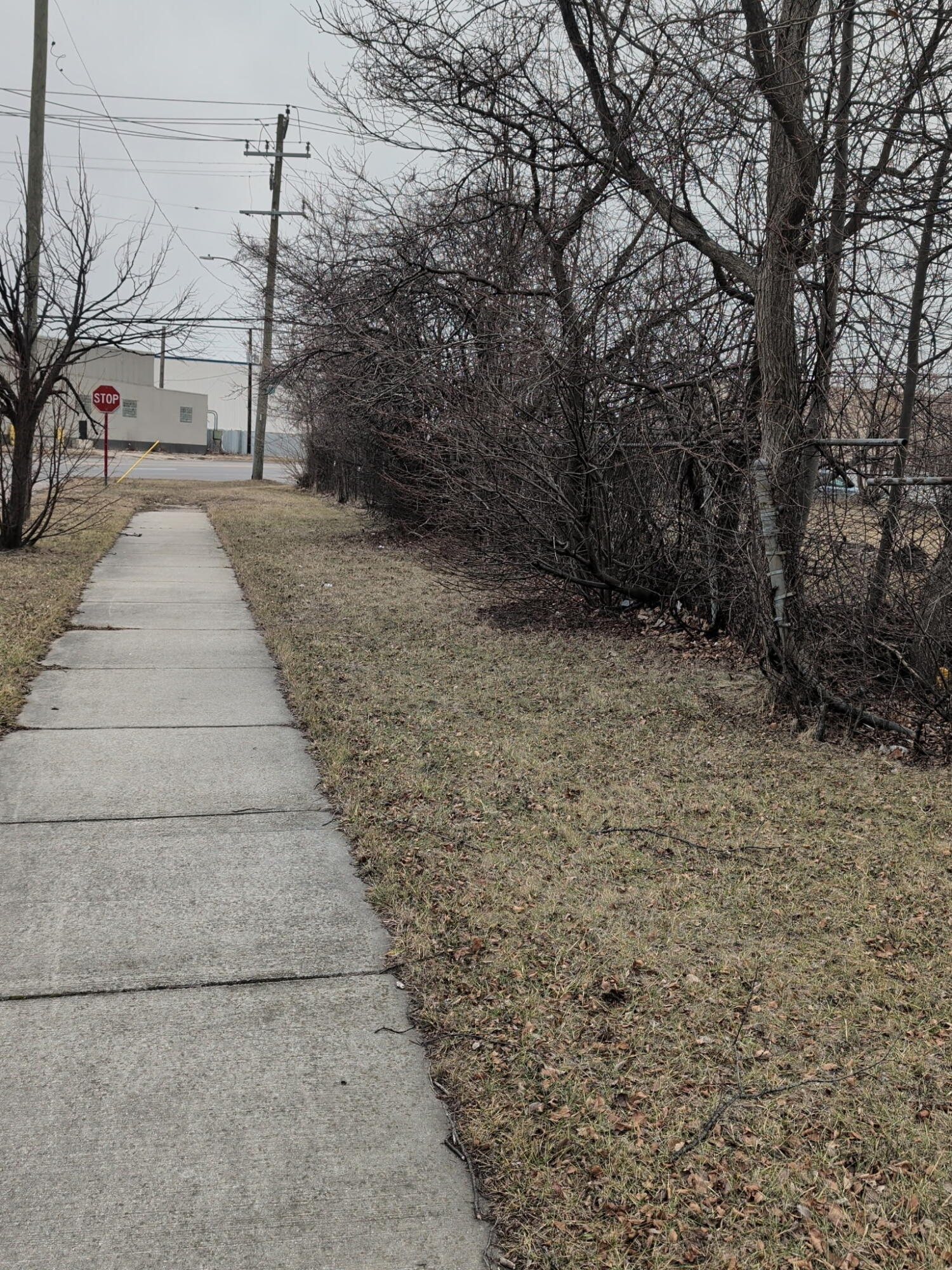 20296 Rowe Street Detroit, MI 48205 - Photo 5 of 5 5967983251448011397