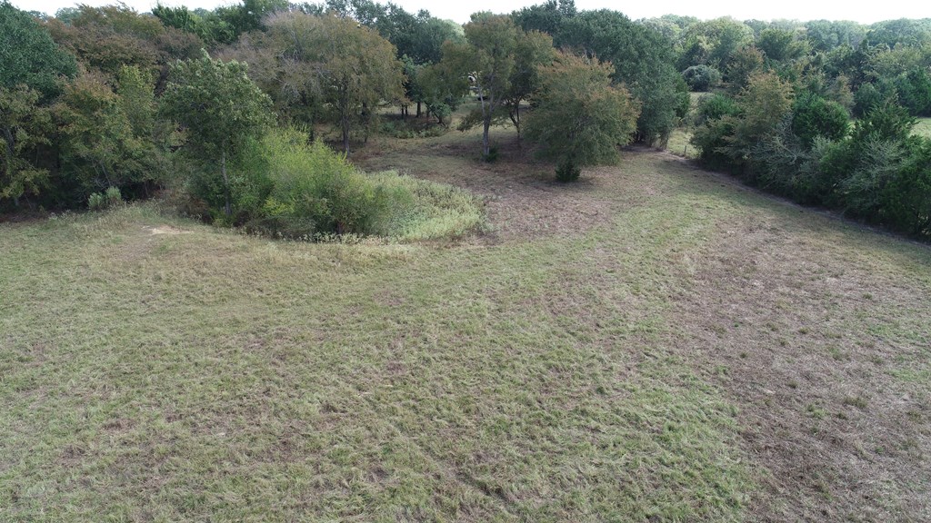 2703 AN County Road Tennessee Colony, TX 75861 - Photo 3 of 30