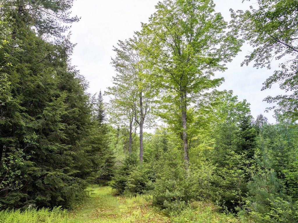 239 Tuttle Road Cumberland Center, ME 04021 - Photo 21 of 28 Photo