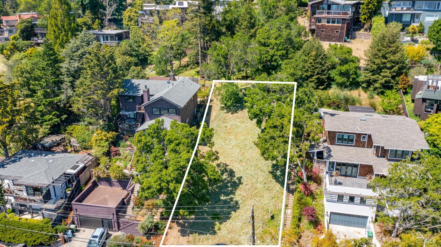 1165 Cragmont Avenue Berkeley, CA 94708 - Photo 8 of 13