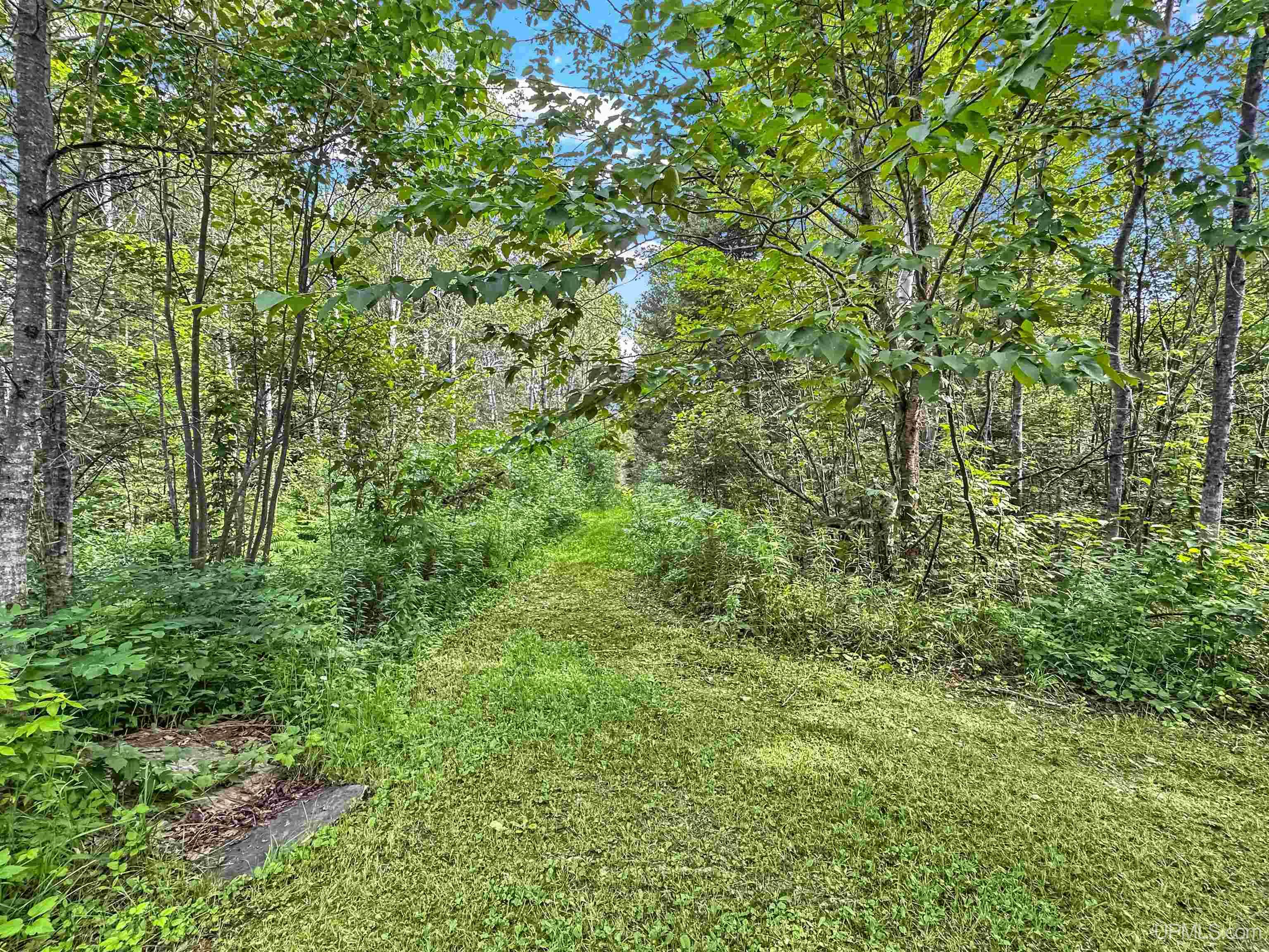 7854 38 Road Rapid River, MI 49878 - Photo 12 of 16
