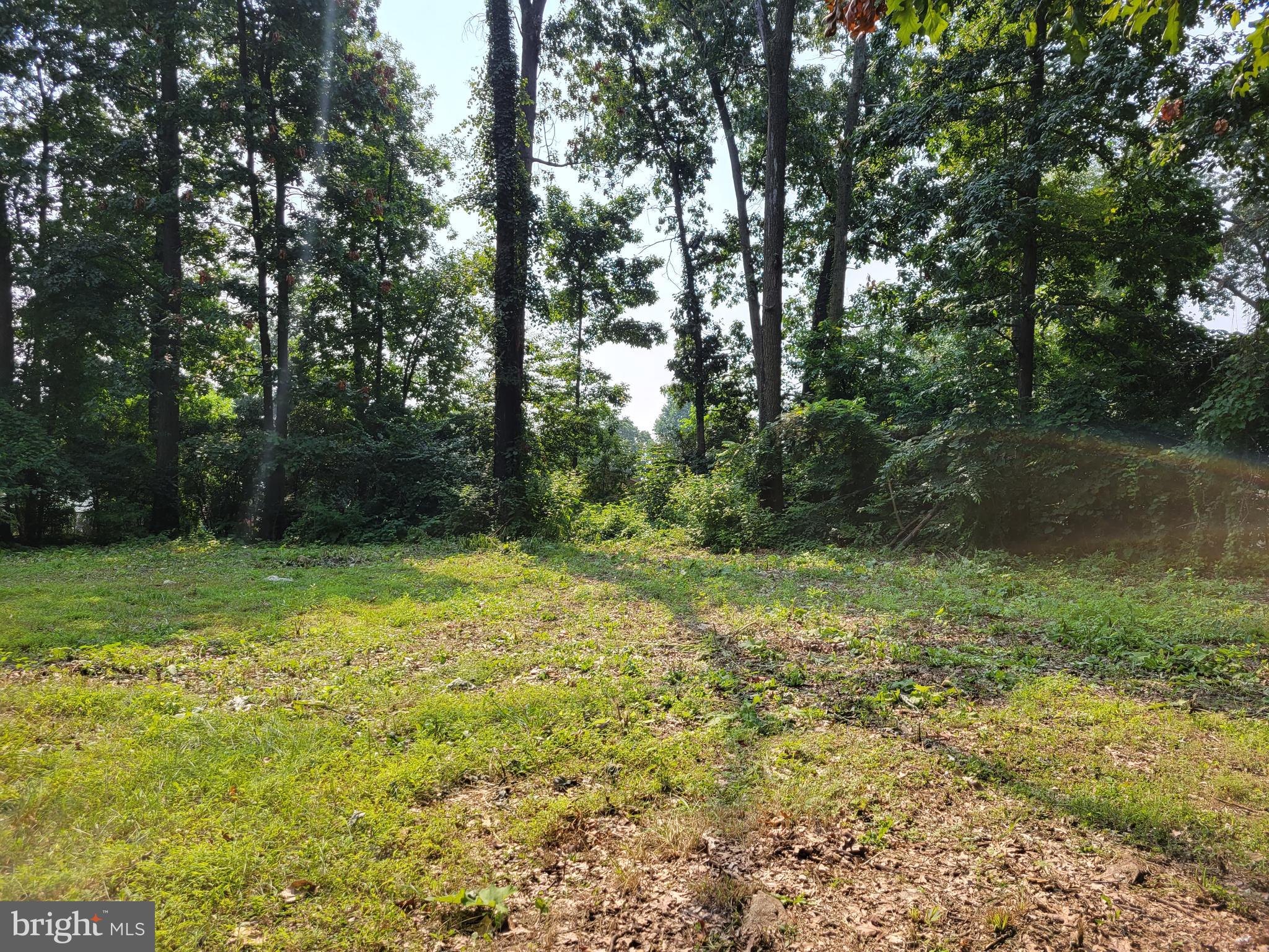 168 Clubhouse Road Delta, PA 17314 - Photo 5 of 15 Gallery Image 5