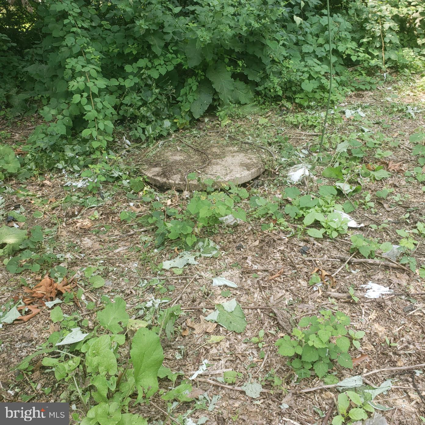 168 Clubhouse Road Delta, PA 17314 - Photo 10 of 15 Gallery Image 10