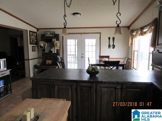 455 Francis Mill Road Ohatchee, AL 36271 - Photo 11 of 49