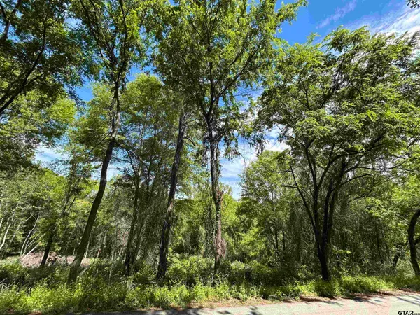 $25,000 | 13812 County Road 1250, Tyler, TX 75709