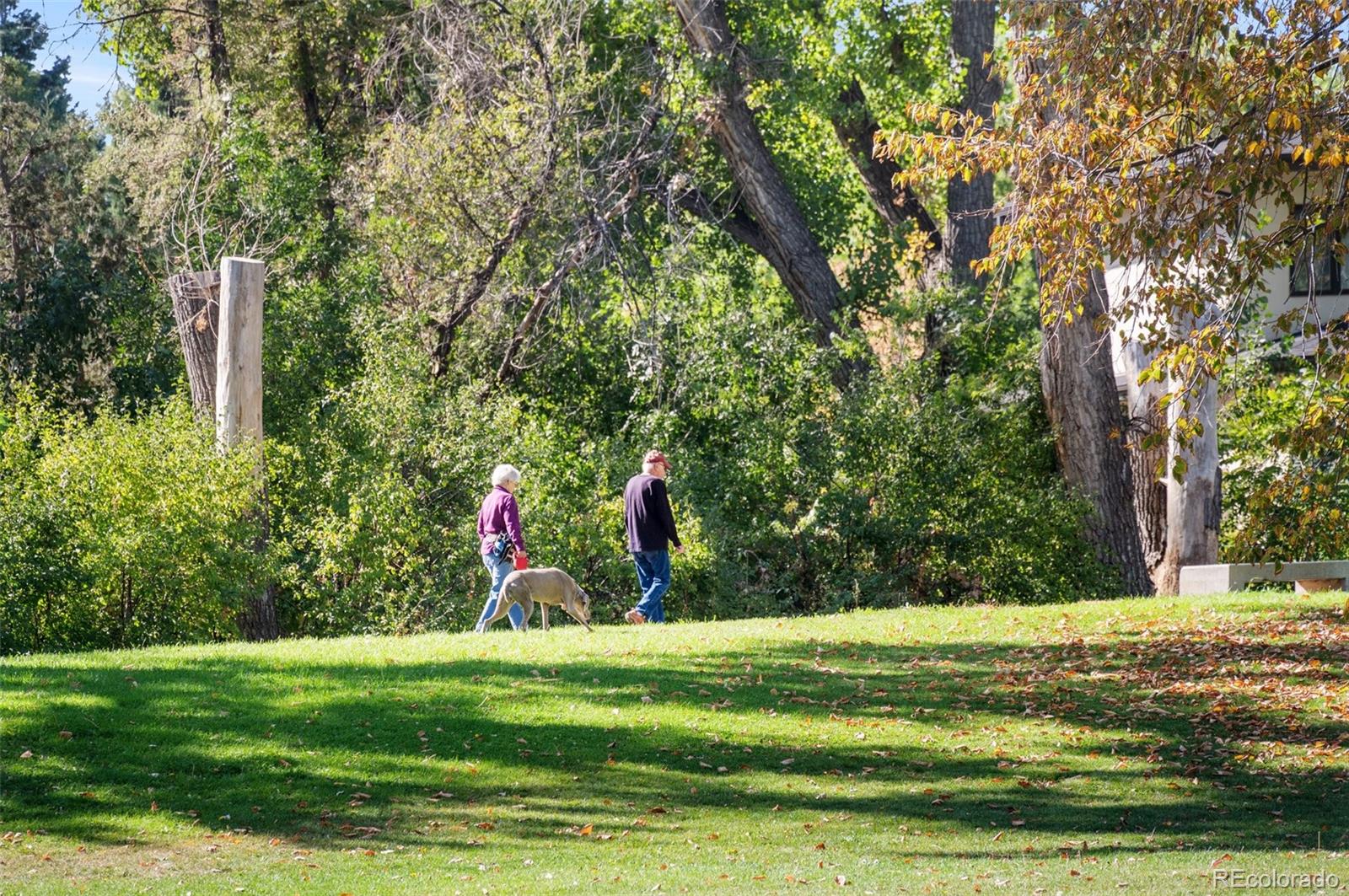 4645 Highline Place Denver, CO 80222 - Photo 46 of 48 a garden view with a fountain