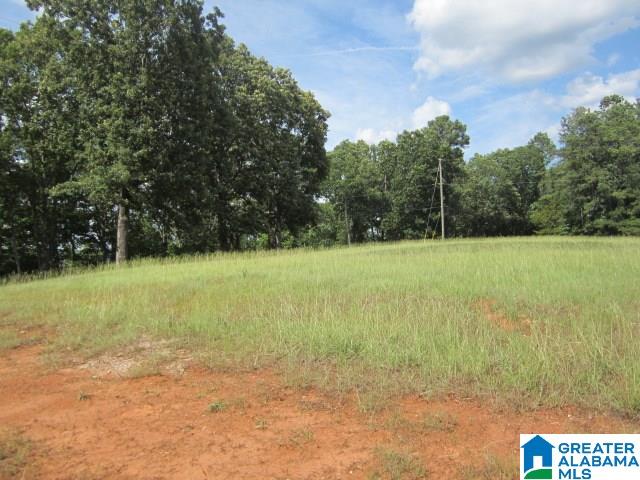 South Shades Crest Road, Unit 1 Birmingham, AL 35214 - Photo 4 of 7