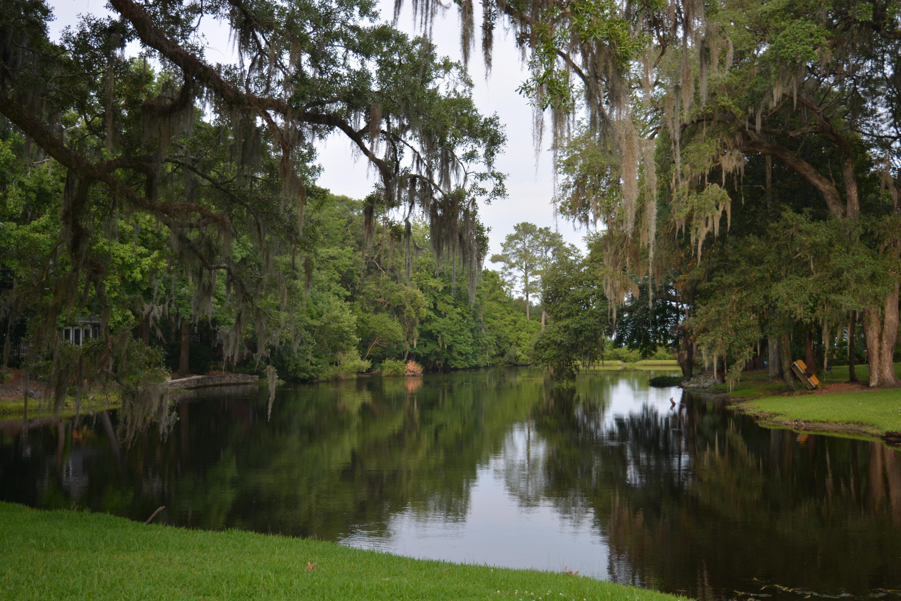0 Vaucluse Road Charleston, SC 29414 - Photo 1 of 13 Nikon 1.15 - 6.16 333