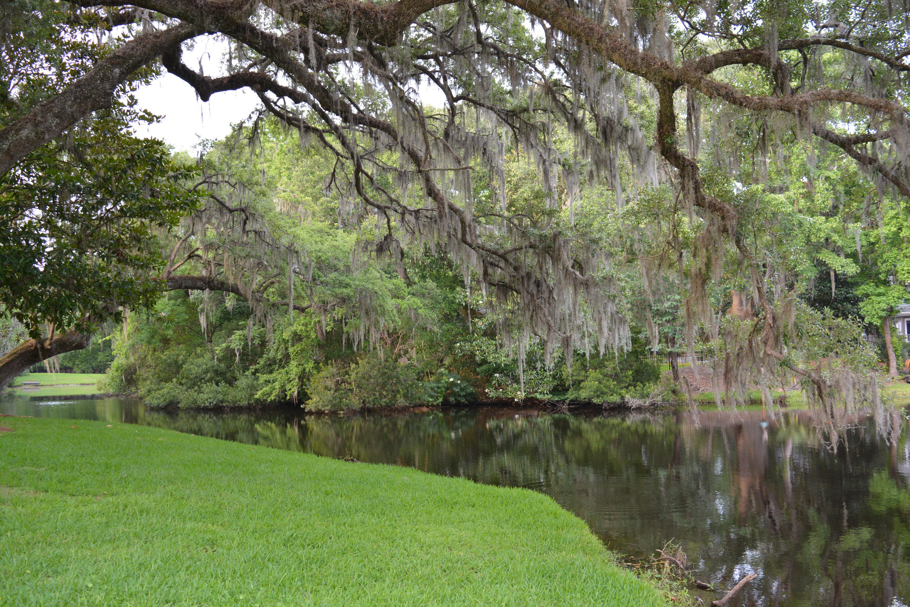 0 Vaucluse Road Charleston, SC 29414 - Photo 11 of 13 Nikon 1.15 - 6.16 334