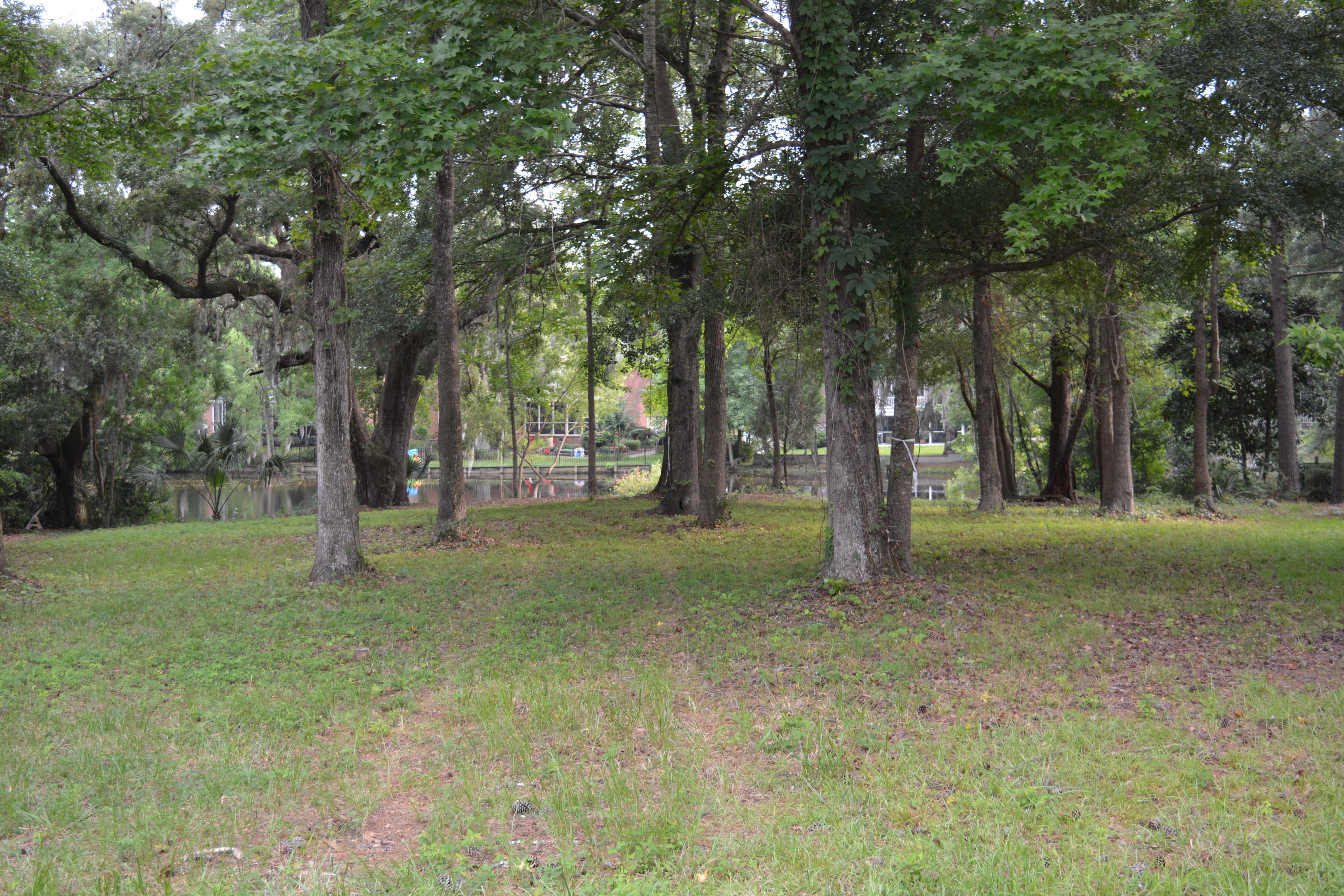 0 Vaucluse Road Charleston, SC 29414 - Photo 3 of 13 Nikon 1.15 - 6.16 313