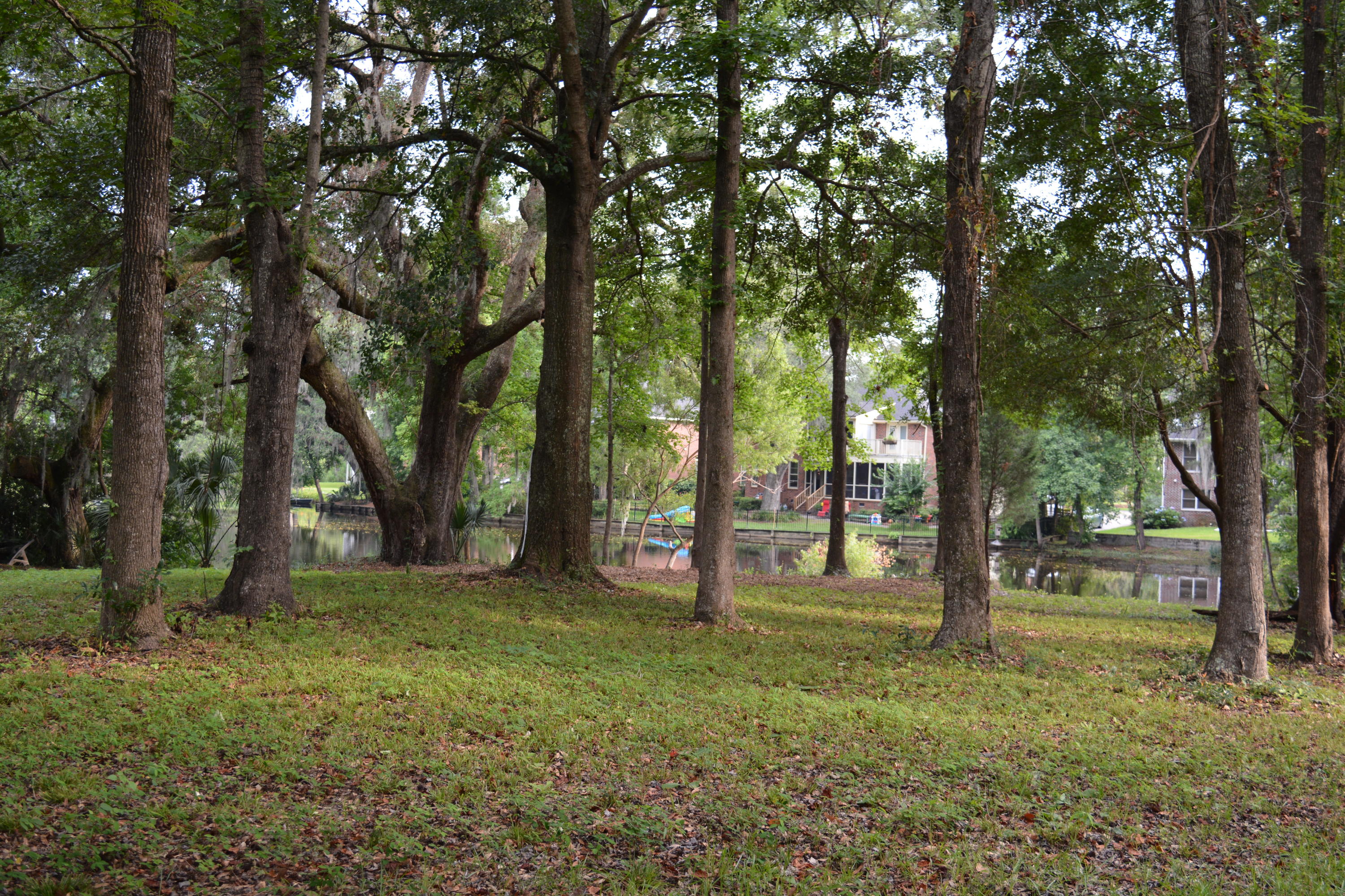0 Vaucluse Road Charleston, SC 29414 - Photo 4 of 13 Nikon 1.15 - 6.16 315