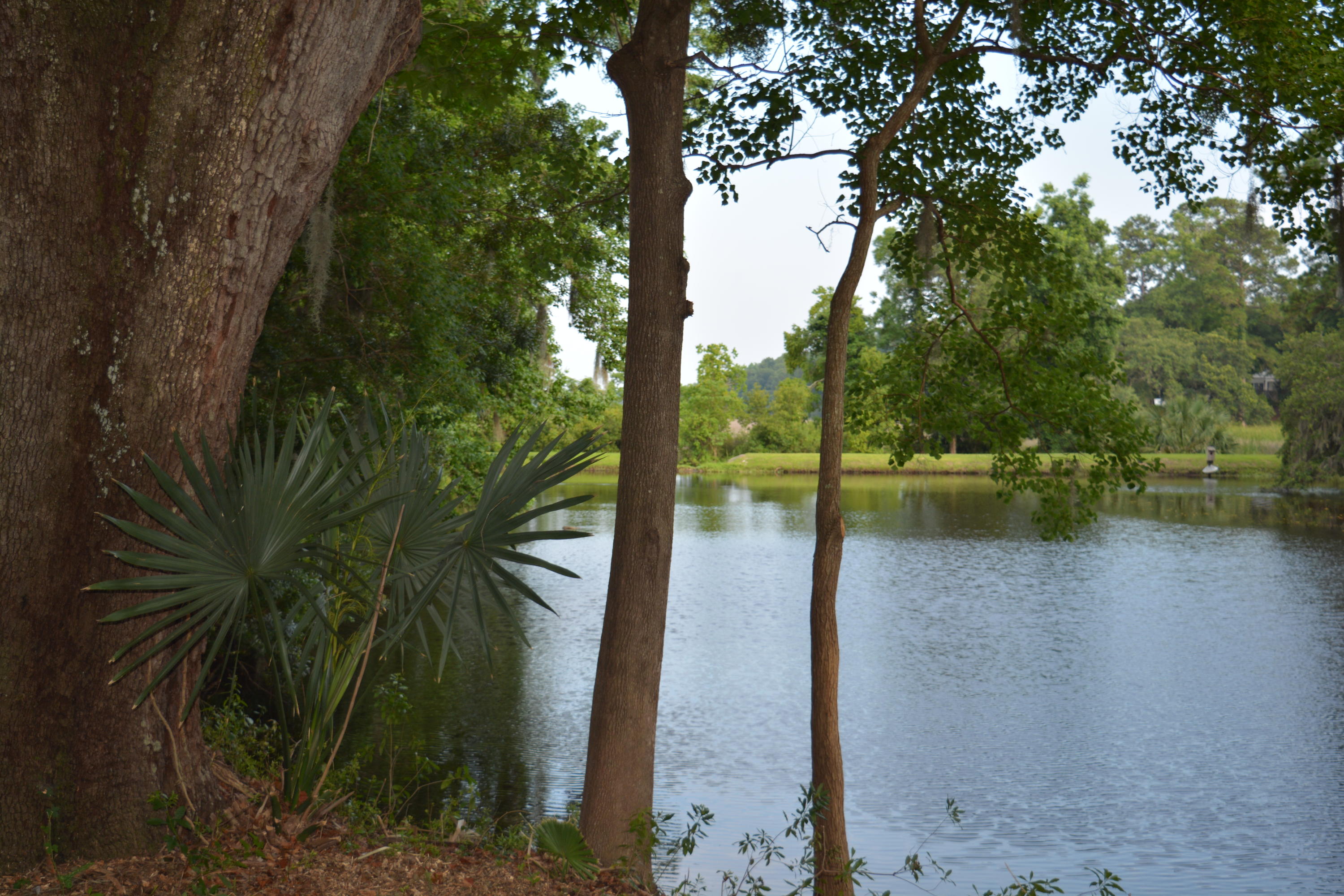 0 Vaucluse Road Charleston, SC 29414 - Photo 5 of 13 Nikon 1.15 - 6.16 319