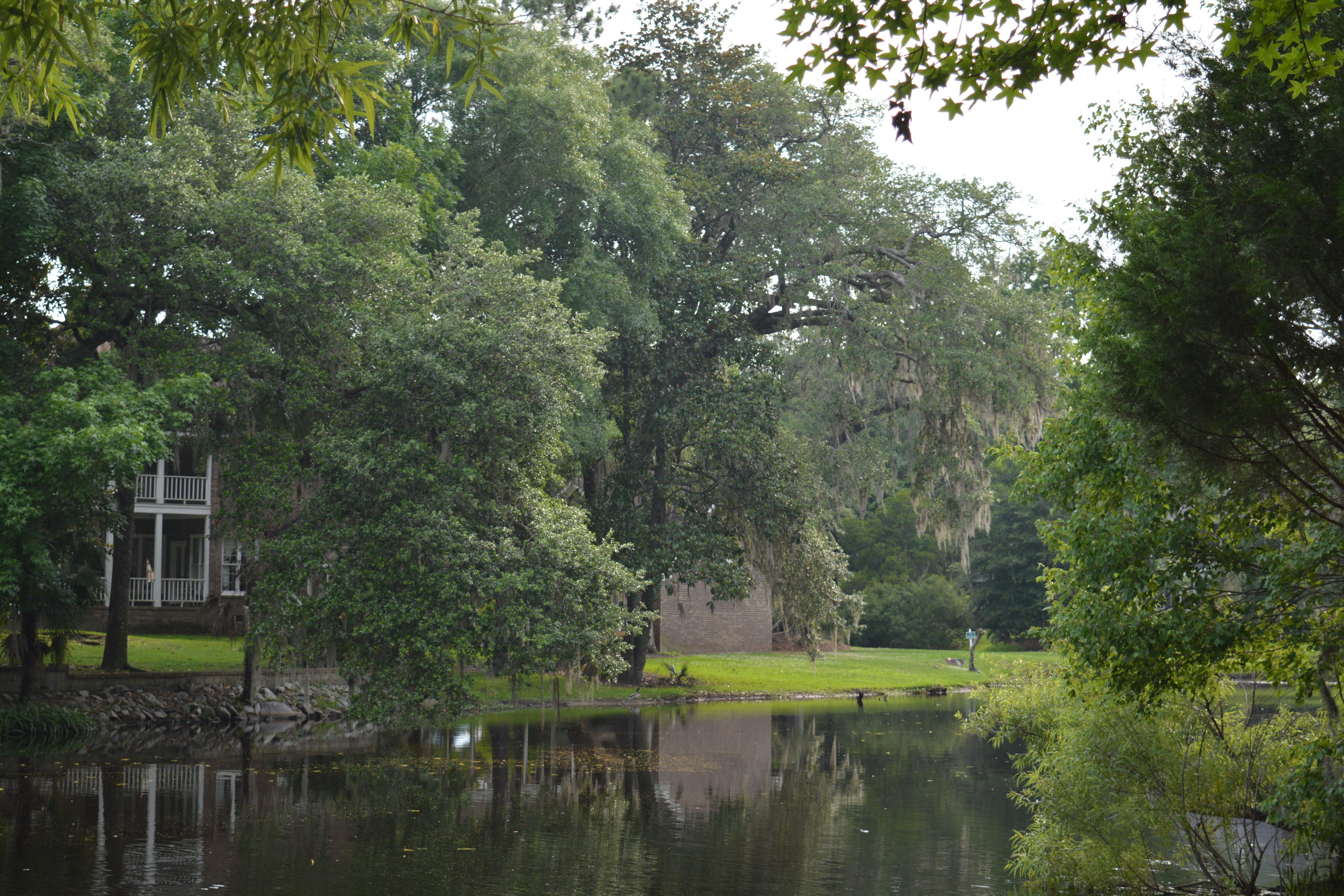 0 Vaucluse Road Charleston, SC 29414 - Photo 6 of 13 Nikon 1.15 - 6.16 320