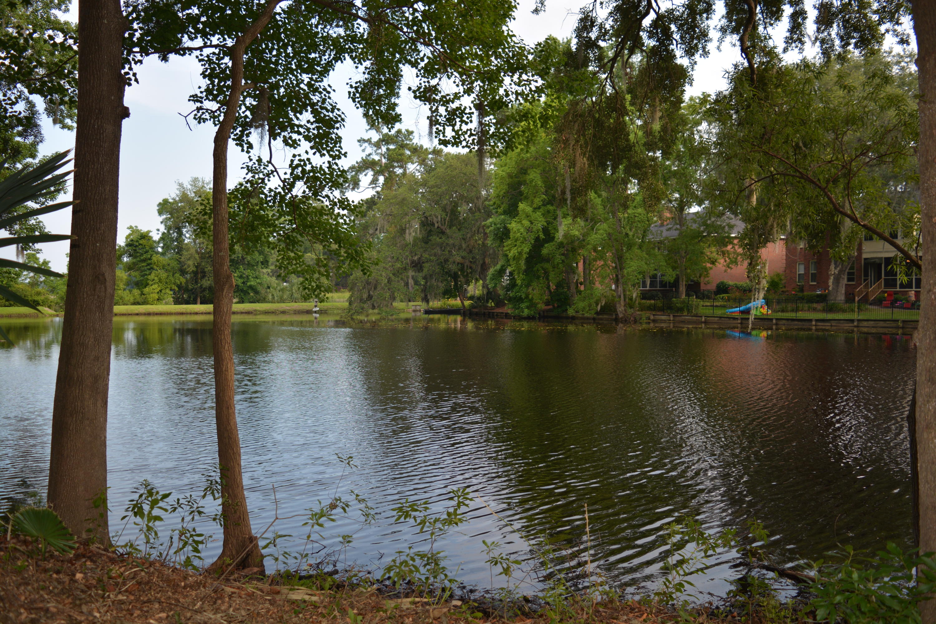 0 Vaucluse Road Charleston, SC 29414 - Photo 7 of 13 Nikon 1.15 - 6.16 321