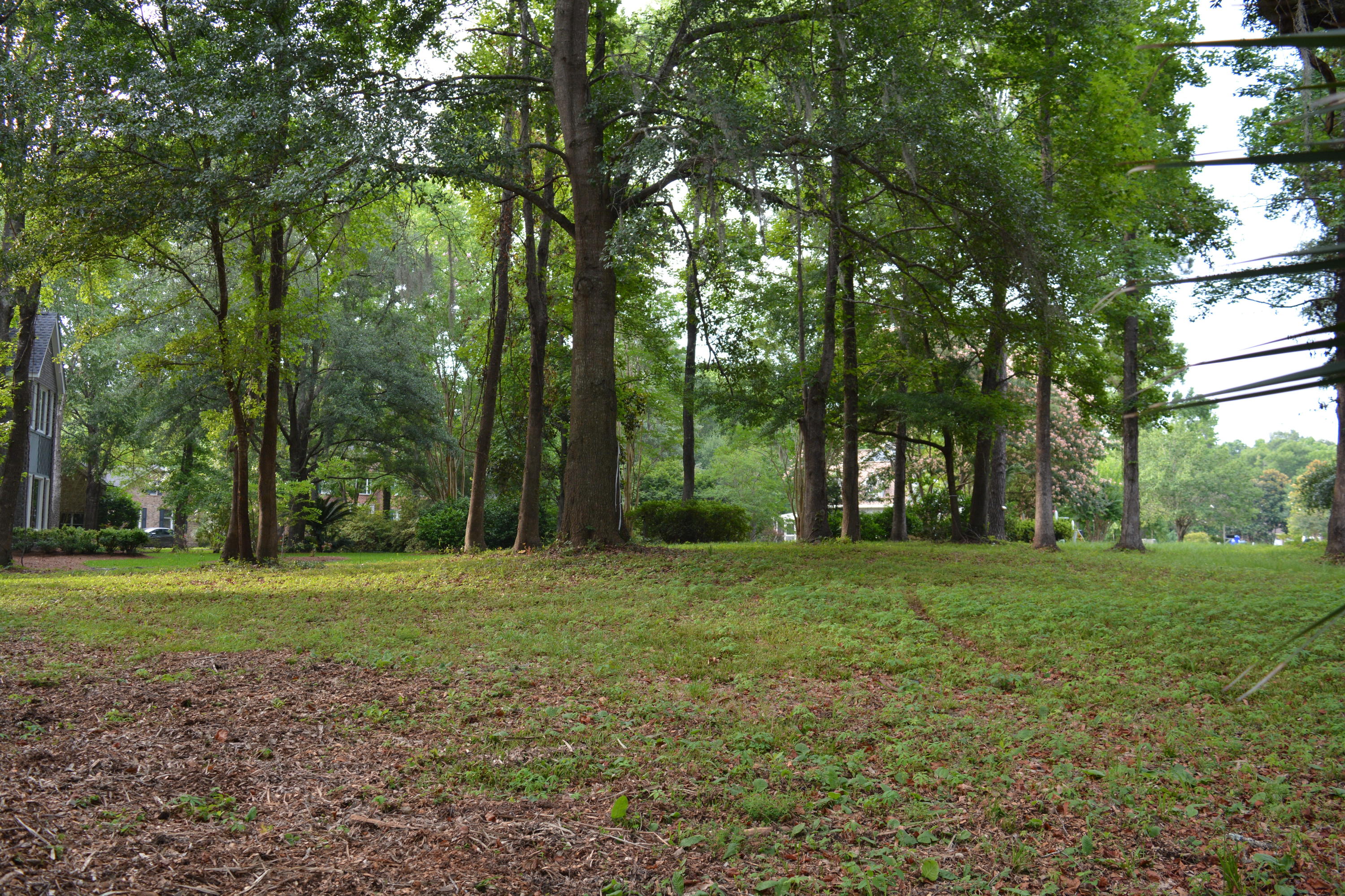 0 Vaucluse Road Charleston, SC 29414 - Photo 8 of 13 Nikon 1.15 - 6.16 324