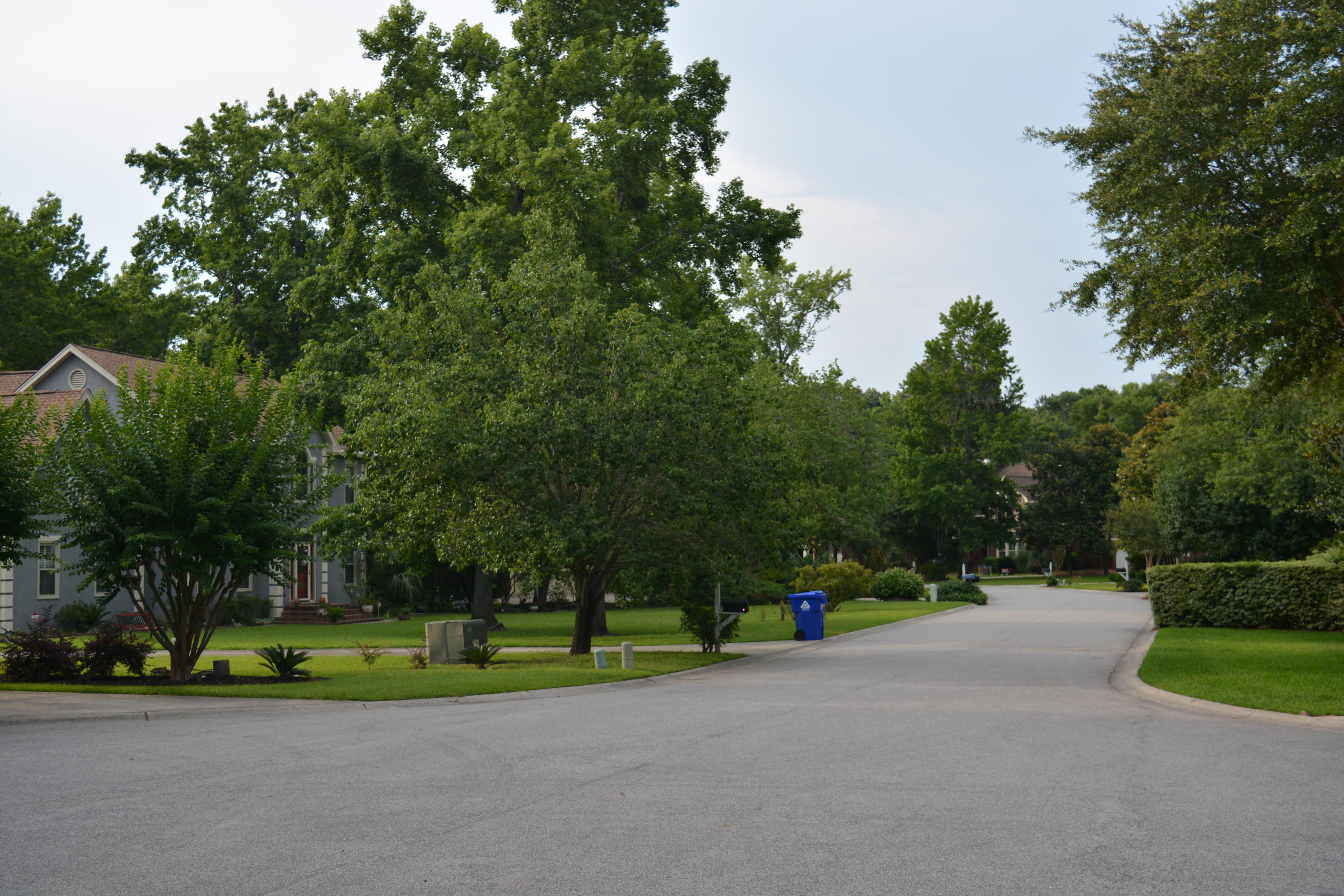 0 Vaucluse Road Charleston, SC 29414 - Photo 9 of 13 Nikon 1.15 - 6.16 325