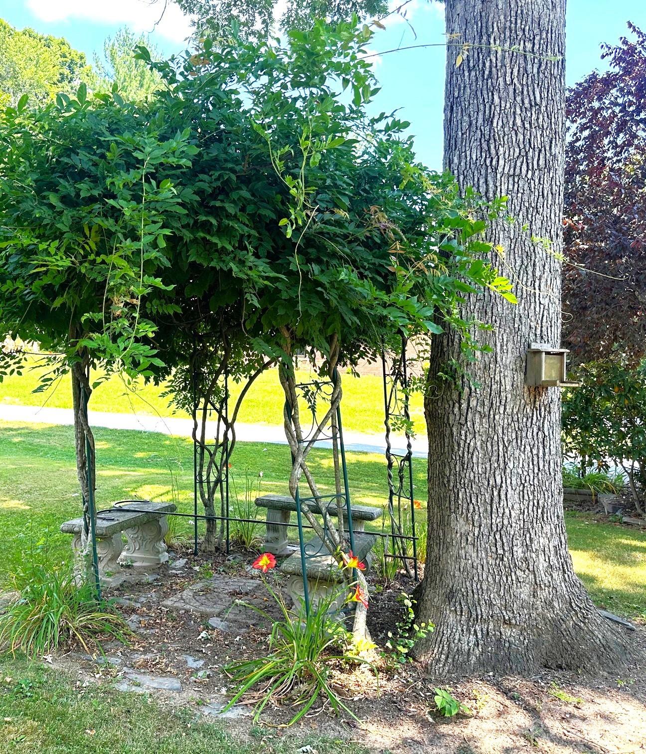 25 Norman Road Fletcher, NC 28732 - Photo 37 of 47 a view of a garden with a tree