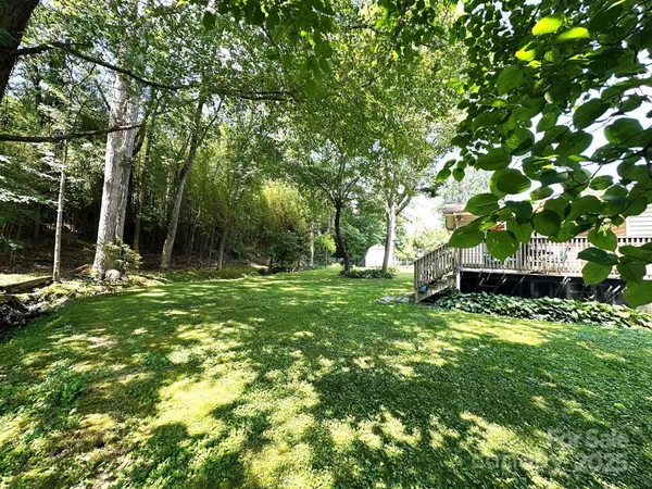 a view of a backyard with plants and trees