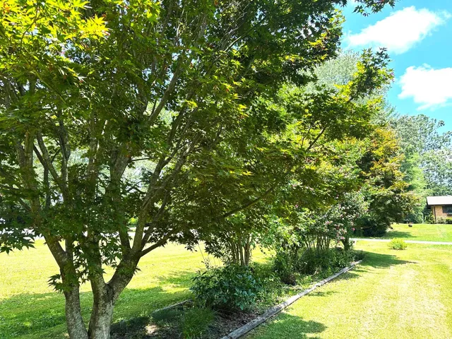 a view of a house with backyard