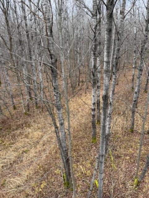 N8236 Godfrey Road Ladysmith, WI 54848 - Photo 26 of 41