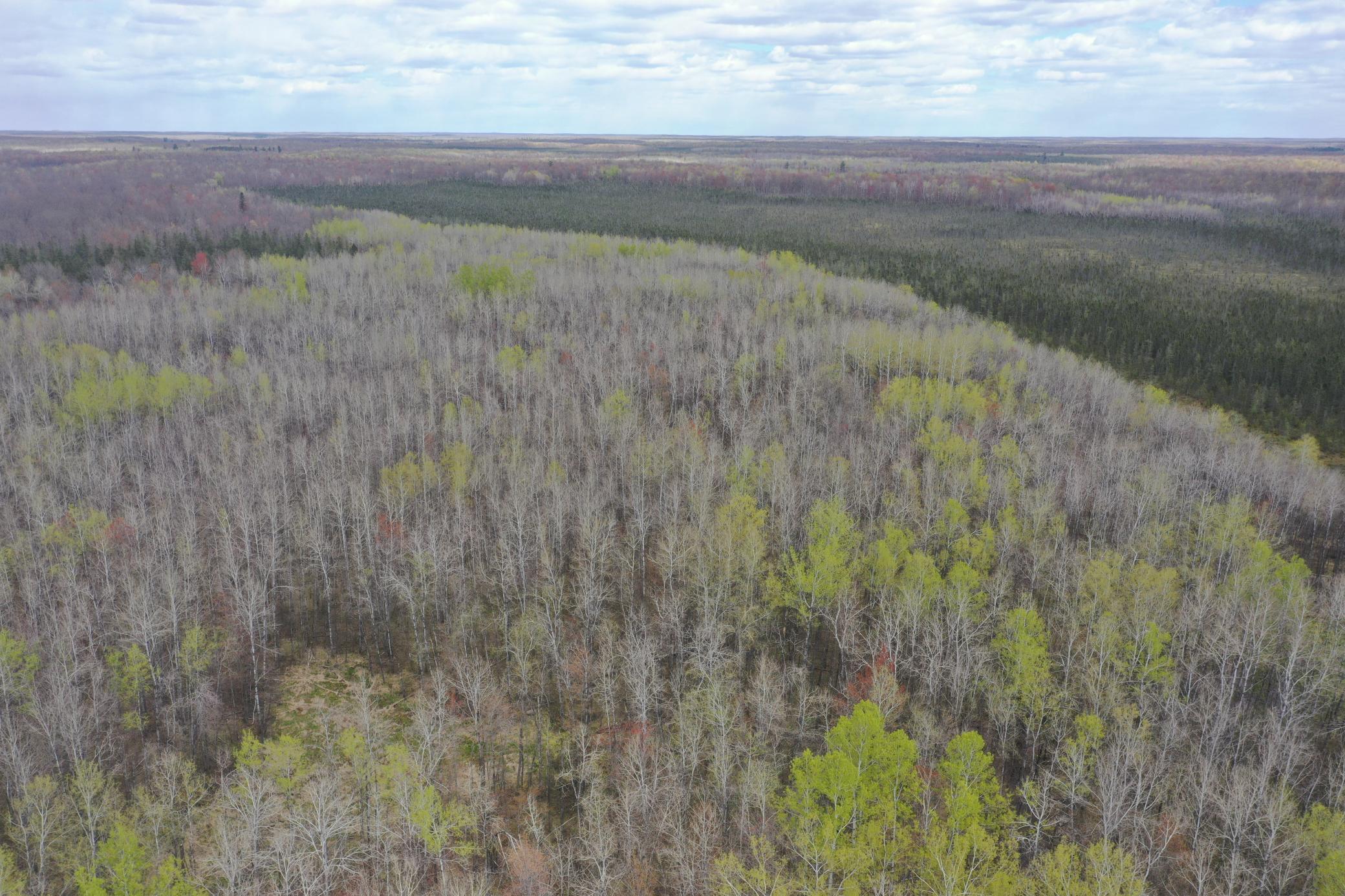N8236 Godfrey Road Ladysmith, WI 54848 - Photo 31 of 41
