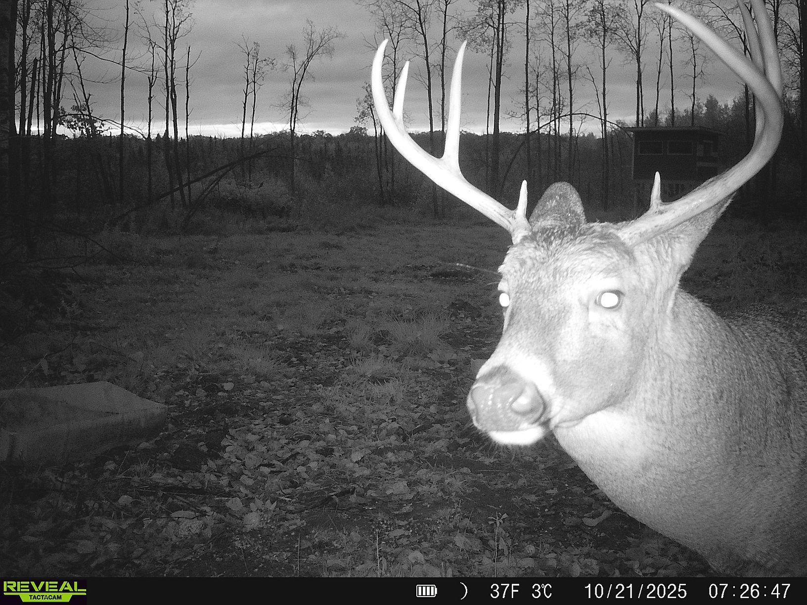 N8236 Godfrey Road Ladysmith, WI 54848 - Photo 36 of 41