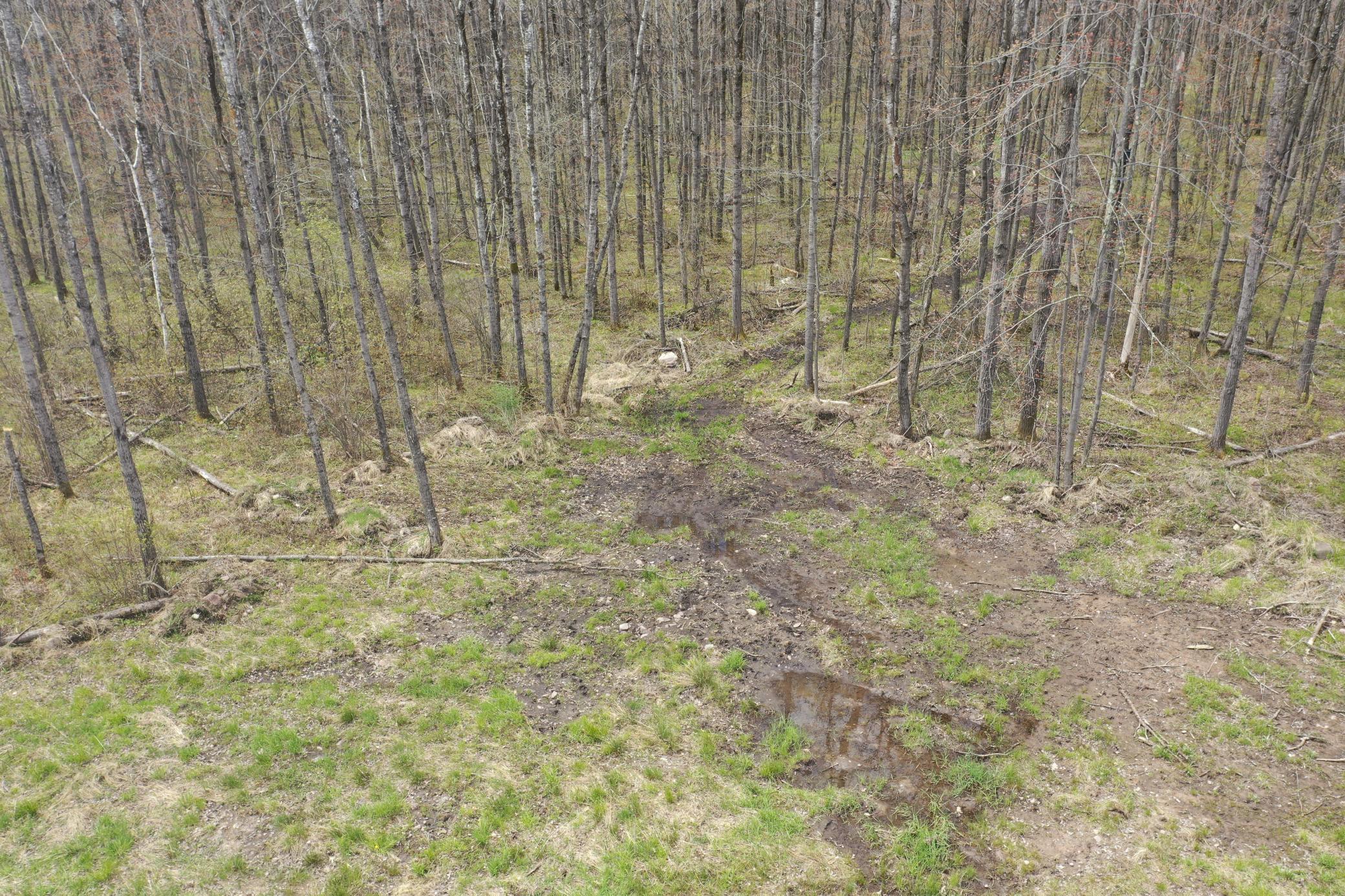 N8236 Godfrey Road Ladysmith, WI 54848 - Photo 7 of 41