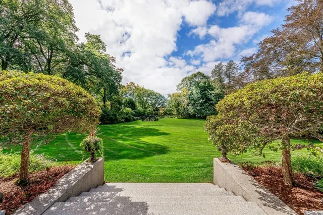 a view of a garden with a pathway
