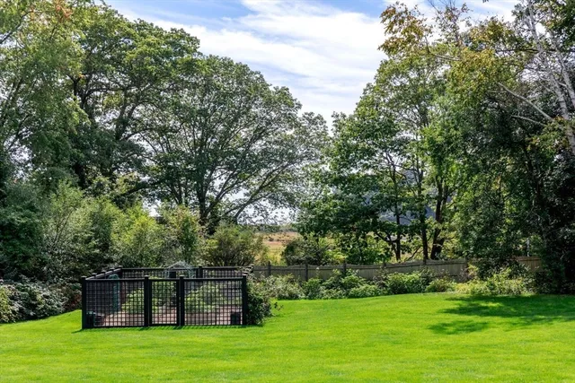 a view of a garden with trees
