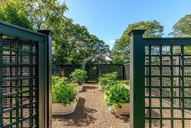 a view of a backyard