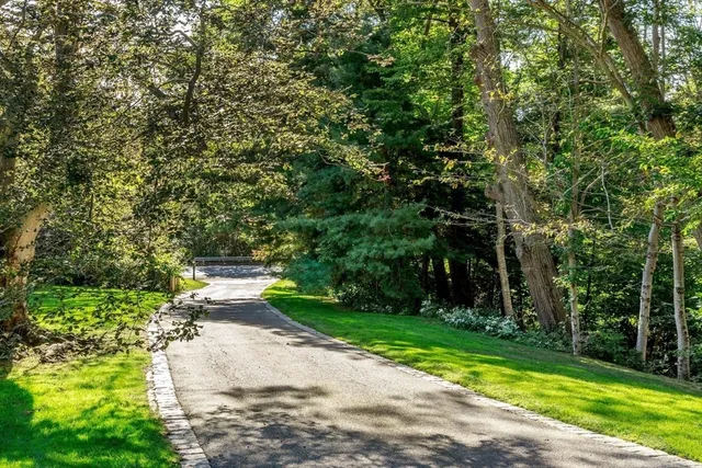 a view of a street with large trees