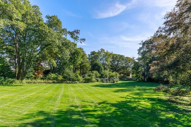 a view of a park with large trees